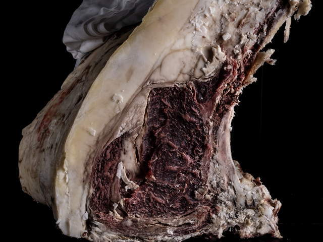 Gallery Nana Meat & Wine La Spezia